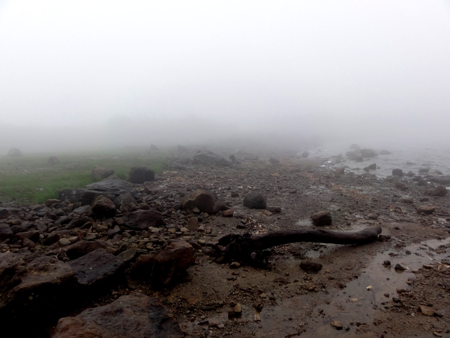 d0235336_2020443.jpg
