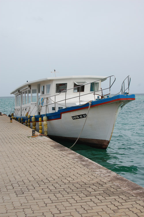 a0023740_9501415.jpg