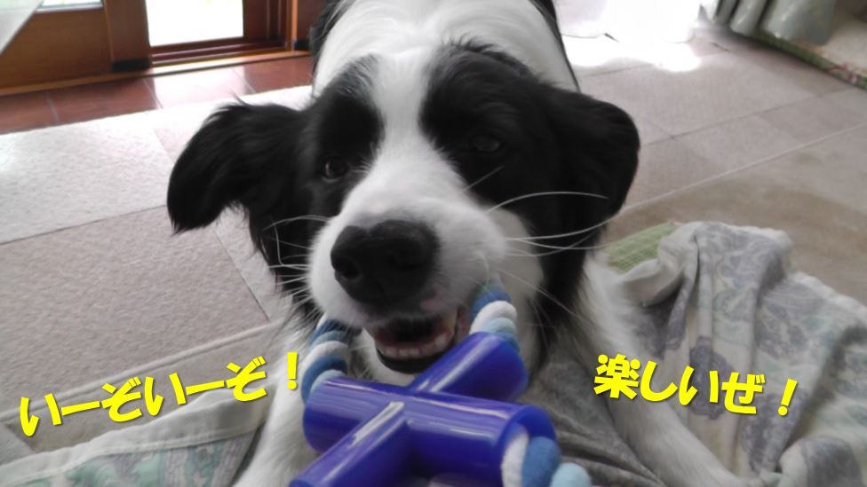 c0147241_20312035.jpg
