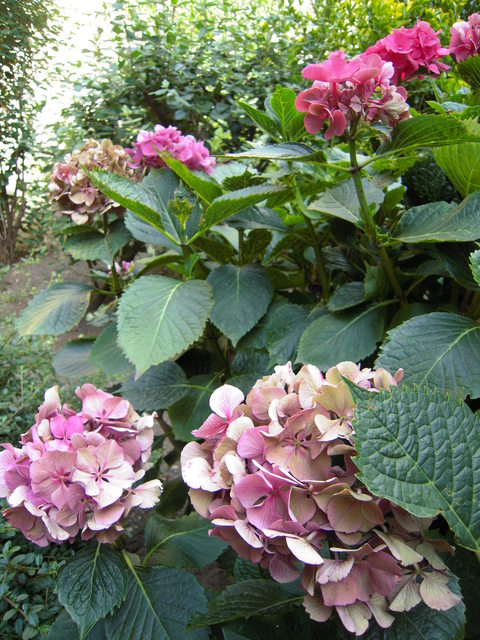 c0232541_73548.jpg