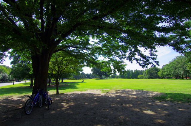 d0186245_1626436.jpg
