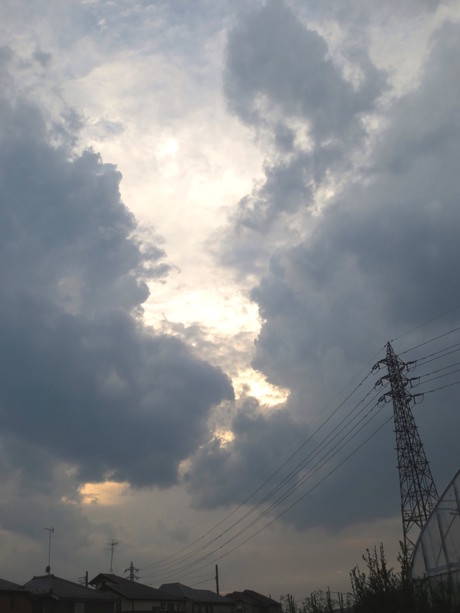 b0097747_1346819.jpg