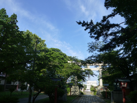 b0238249_20281742.jpg