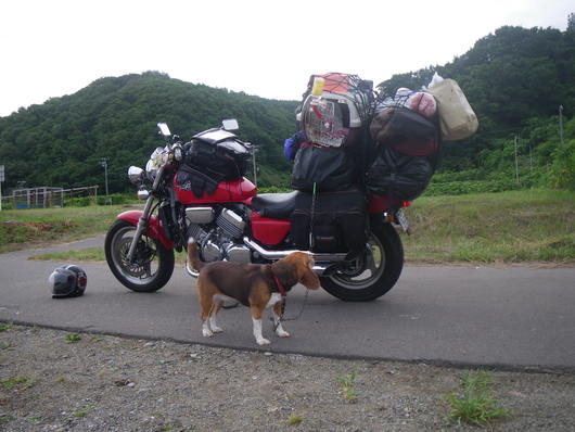 ワンデム２０１２夏〜０８０３金〜北海道札幌南香園近所の公園〜ｄａｙ１３_f0046250_16194579.jpg