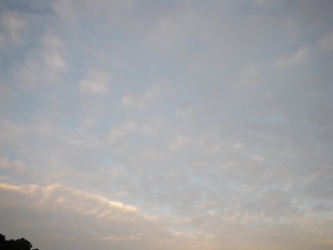 f0046250_5102747.jpg