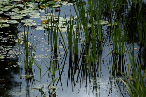 b0223754_21544810.jpg