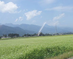 八月_d0050155_5182846.jpg