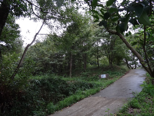 c0108460_14455298.jpg