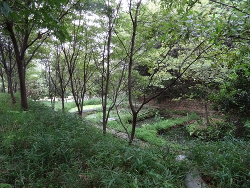 c0108460_14464670.jpg