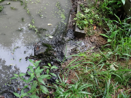 c0108460_14475779.jpg