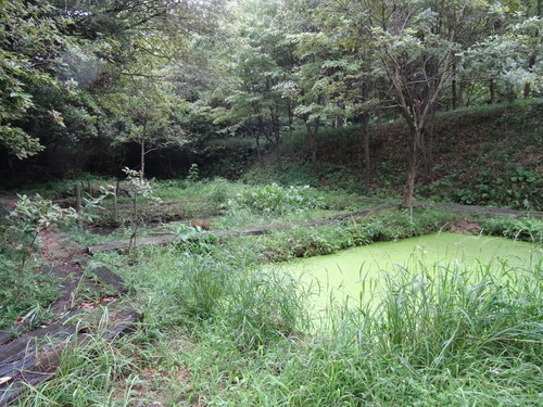 c0108460_14485547.jpg