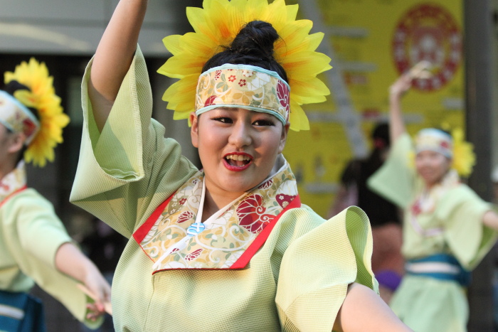 第60回よさこい祭り 本祭1日目 菜園場”菜の笑”さ組 その1_a0077663_735246.jpg