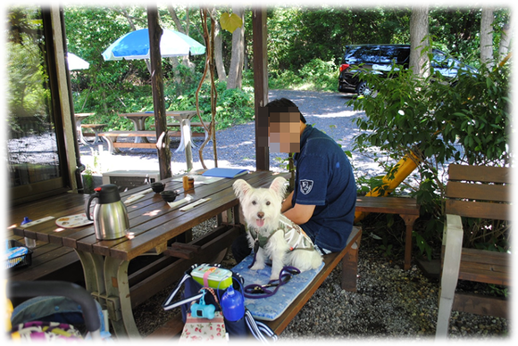 b0242873_224876.png