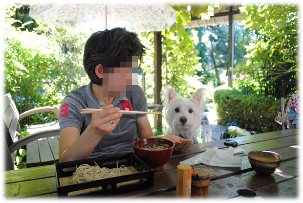 b0242873_294557.png