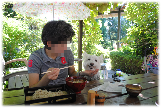 b0242873_295059.png