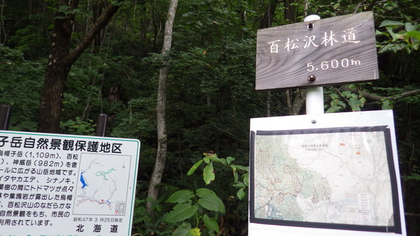 a0141678_1040336.jpg