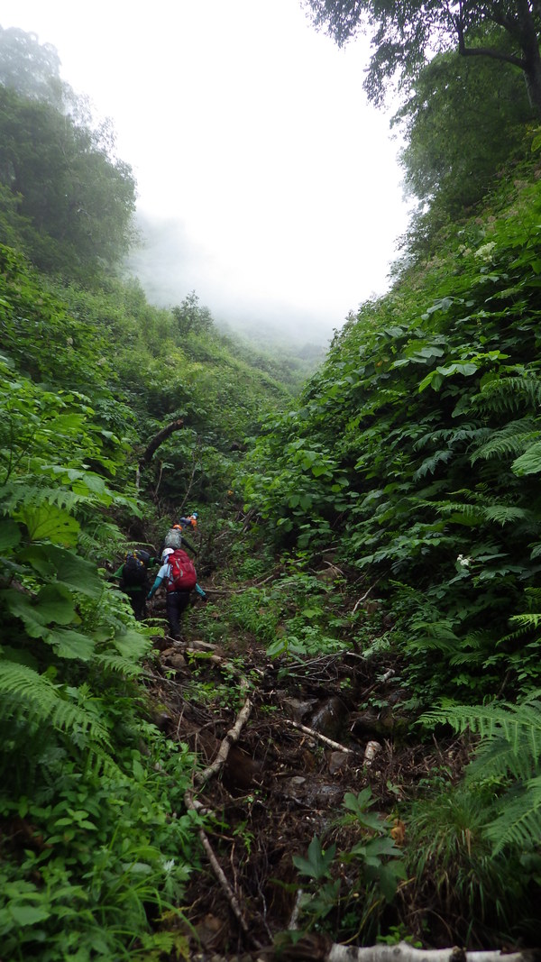 百松沢川～定山渓神威岳(983㍍）＝2013年8月31日_a0141678_10434448.jpg