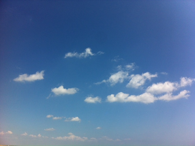 d0171384_14163959.jpg