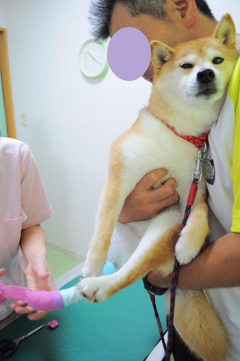 ドキドキの診察_a0126590_6591443.jpg
