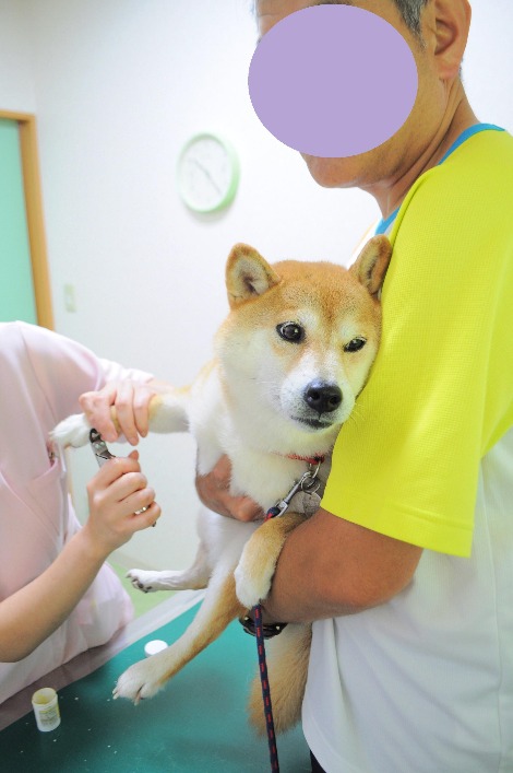 ドキドキの診察_a0126590_7162668.jpg