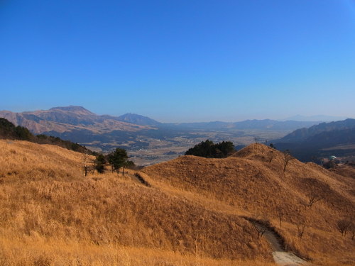 a0214490_10275310.jpg