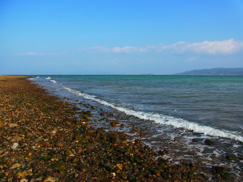 a0214490_103403.jpg