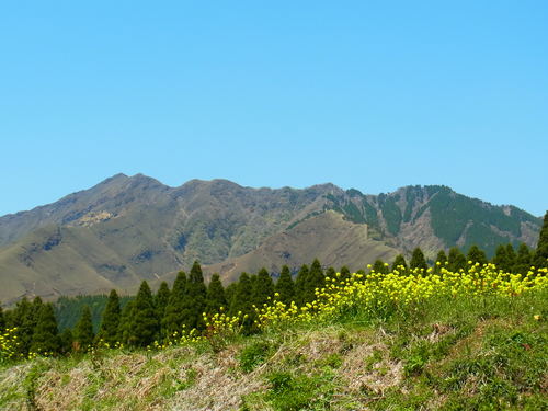 a0214490_1154296.jpg