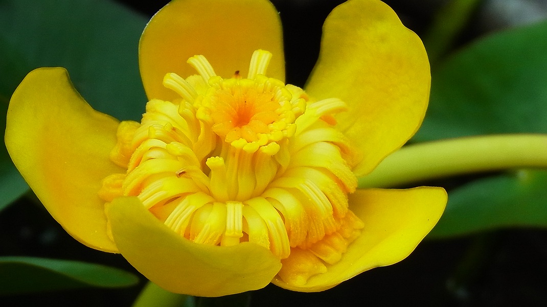 a0152692_199847.jpg