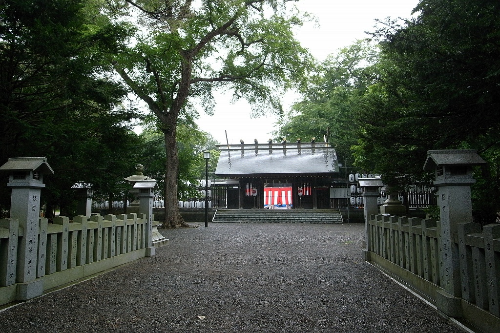 千歳神社のお祭り デジカメ持って野に山に