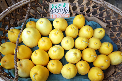 おしろい・まくわ・とんでゆく_c0069903_1424356.jpg