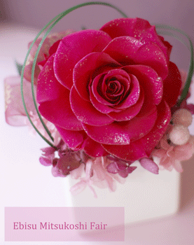 b0111306_1959316.gif