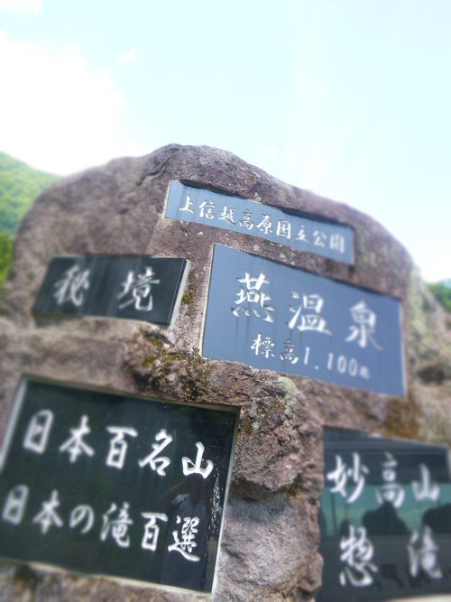 a0236914_914059.jpg