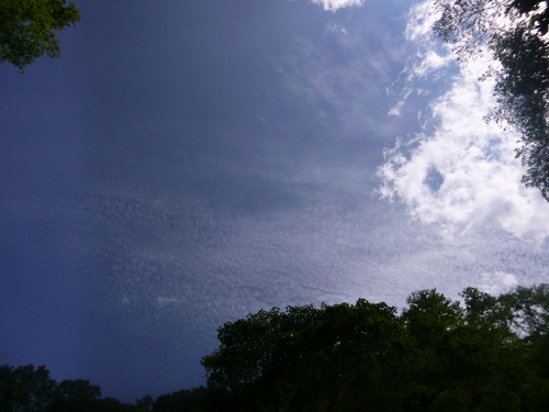 a0236914_933069.jpg