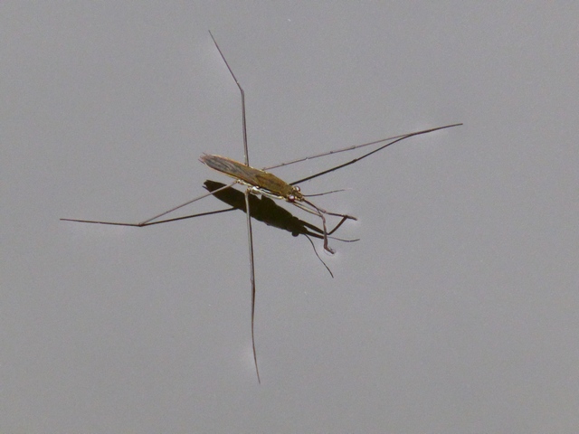 a0256418_19373928.jpg