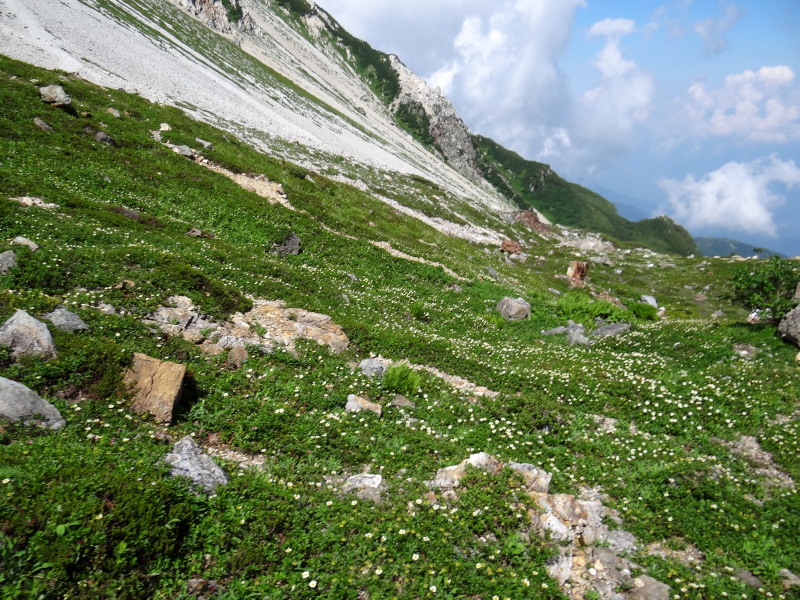 c0085622_2091028.jpg
