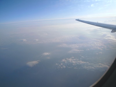 d0098022_1554280.jpg