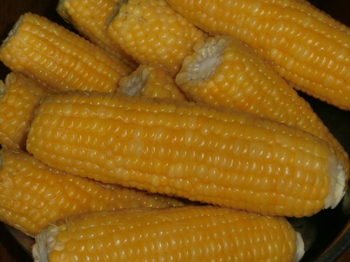 d0317425_851898.jpg