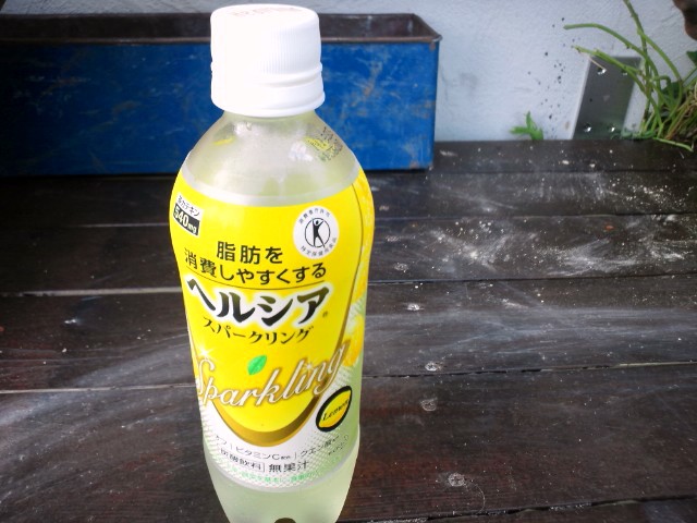 パソコン壊れました。_c0102228_2055572.jpg