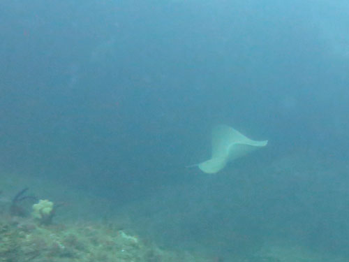d0164831_14132622.jpg