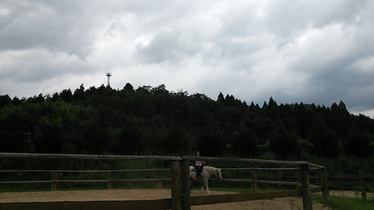 雨が続いていますが_e0145441_721120.jpg