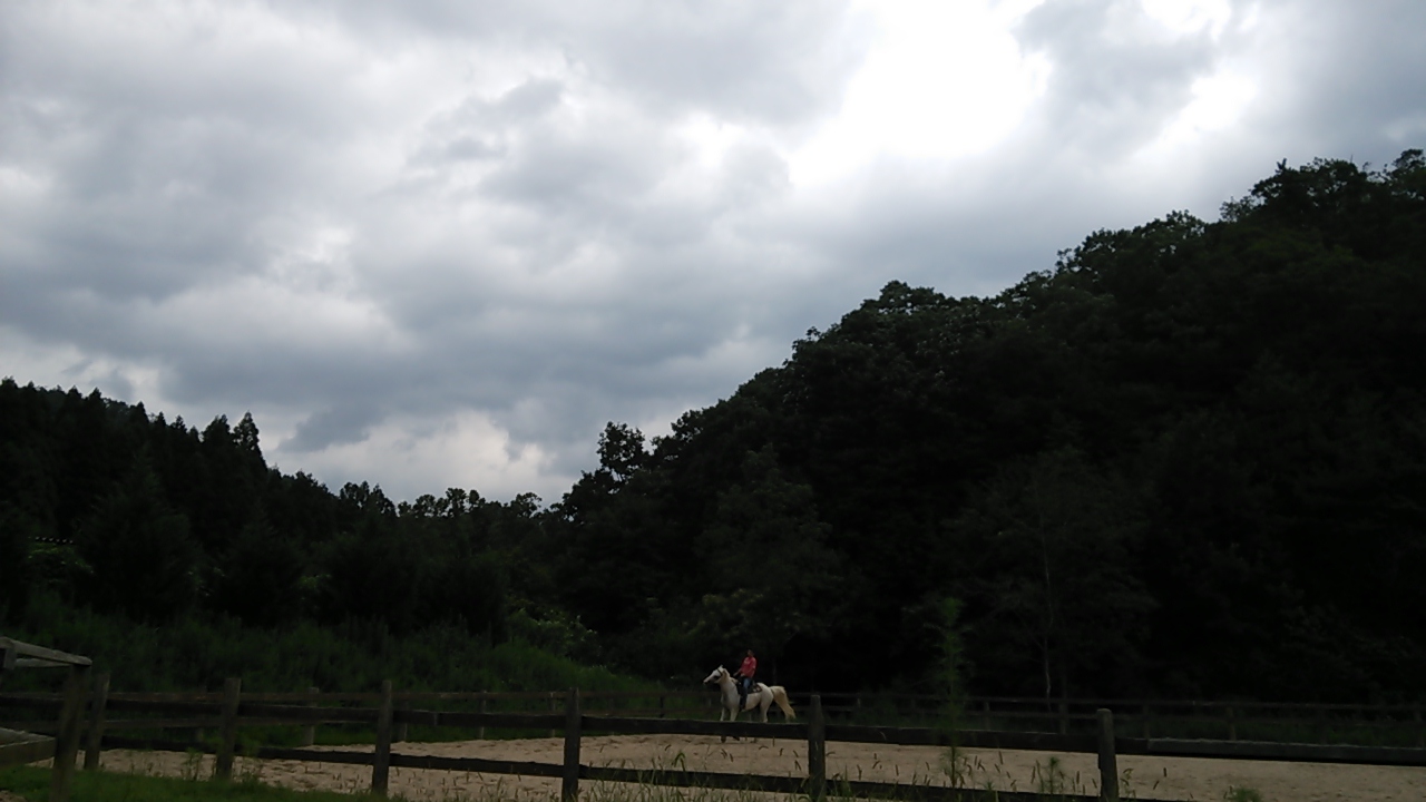 雨が続いていますが_e0145441_7211550.jpg