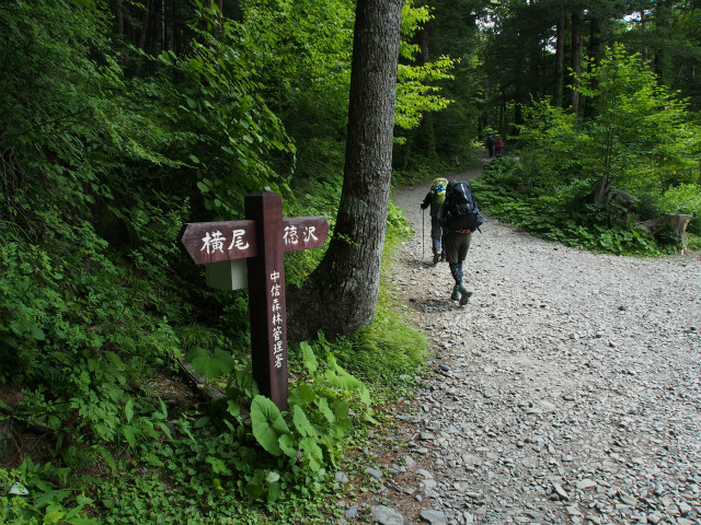 2013夏の北アルプス遠征 ～槍ヶ岳編～_e0151447_1852651.jpg