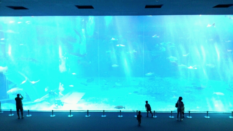 a0196148_20223560.jpg
