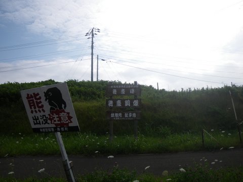 f0046250_1655157.jpg