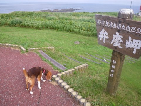 ワンデム２０１２夏〜０８０３金〜北海道札幌南香園近所の公園〜ｄａｙ１３_f0046250_1732511.jpg