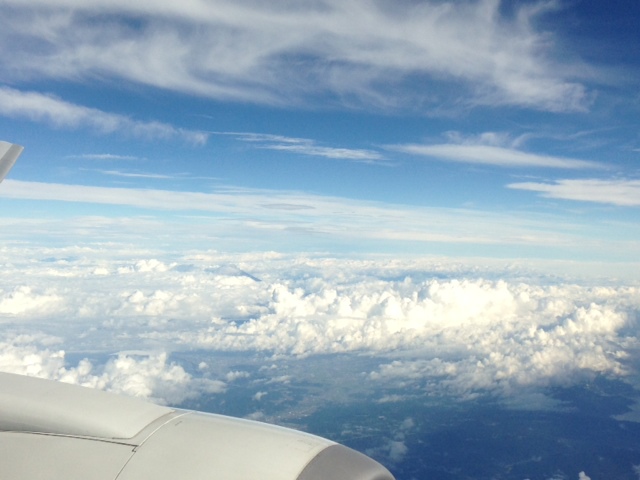 a0004752_858512.jpg