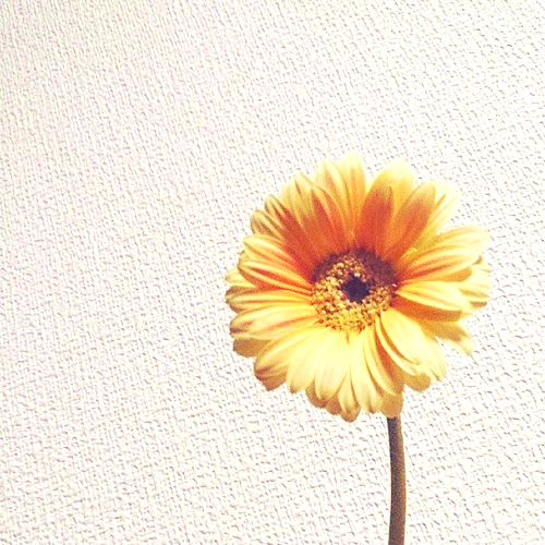 0902「身の丈にあった生活、管理できるほどの持ち物。」_d0233865_2223876.jpg