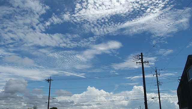 c0068168_11331673.jpg