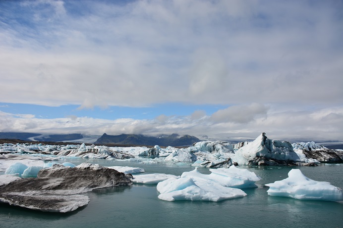 f0221369_1431369.jpg