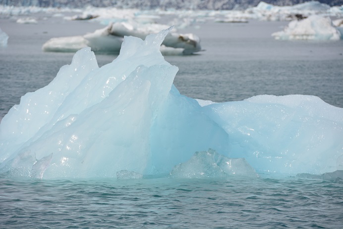 f0221369_20272722.jpg